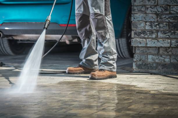 Best Animal Enclosure Cleaning  in Floydada, TX